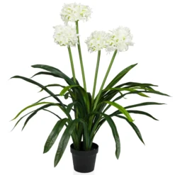 AGAPANTHUS - Kunstpflanze Grün/Weiß