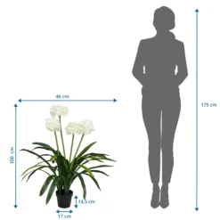 AGAPANTHUS - Kunstpflanze Grün/Weiß