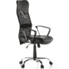 ARTON 20 - Home Office Chefsessel Schwarz