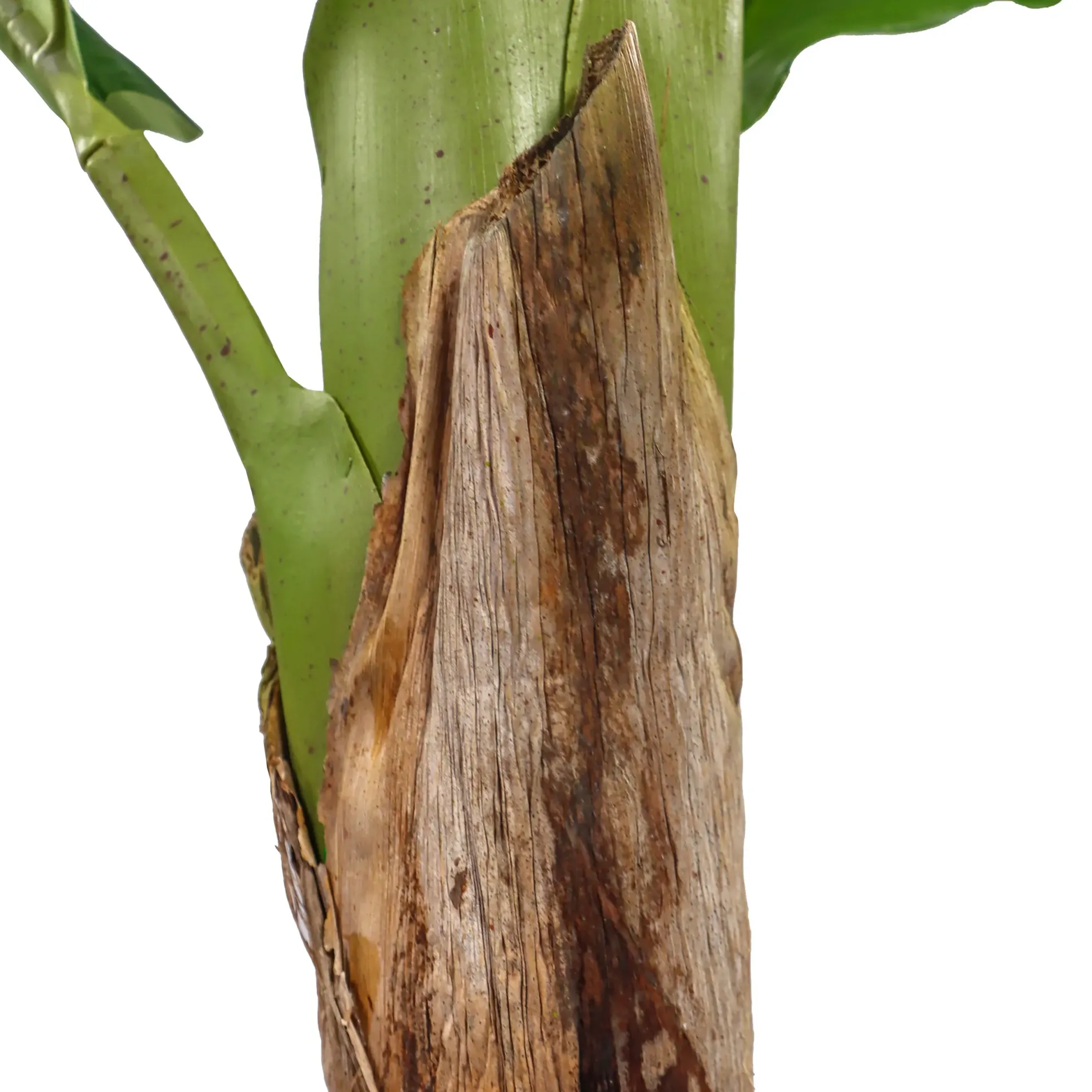 BANANE I - Kunstpflanze Grün
