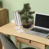 BONSAI - Kunstpflanze Grün