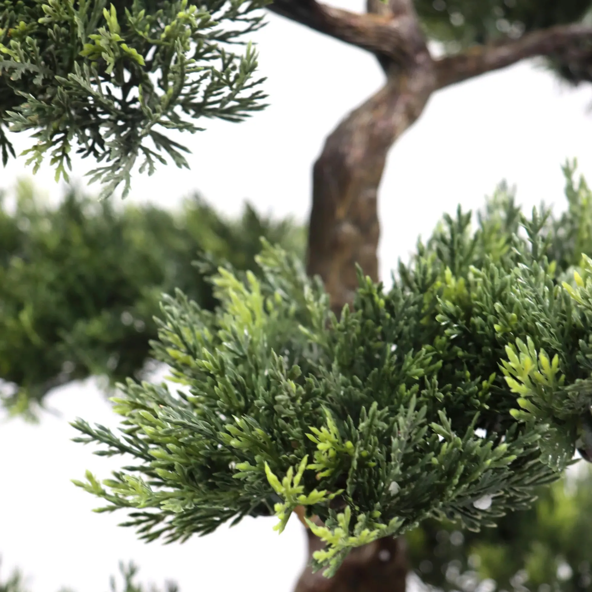 BONSAI - Kunstpflanze Grün