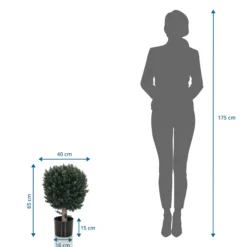 BUXUS - Kunstpflanze Grün
