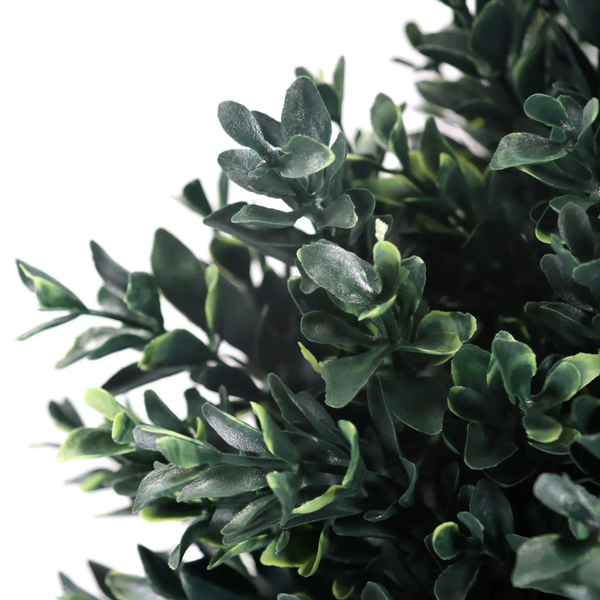 BUXUS - Kunstpflanze Grün