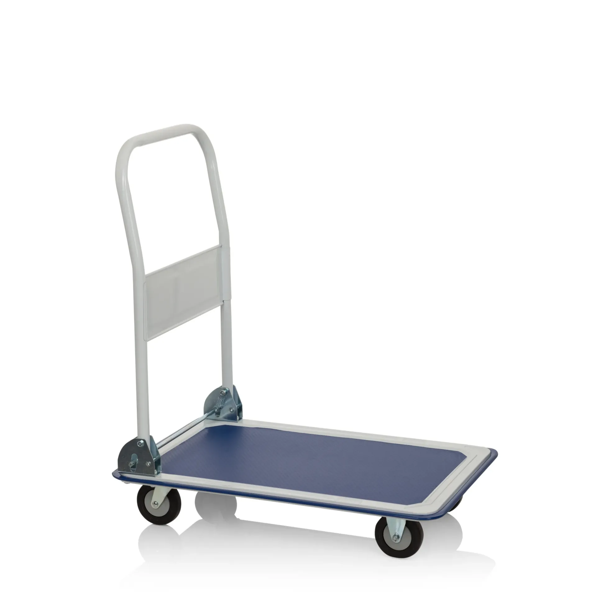 CARRY - Plattformwagen Blau/Weiß