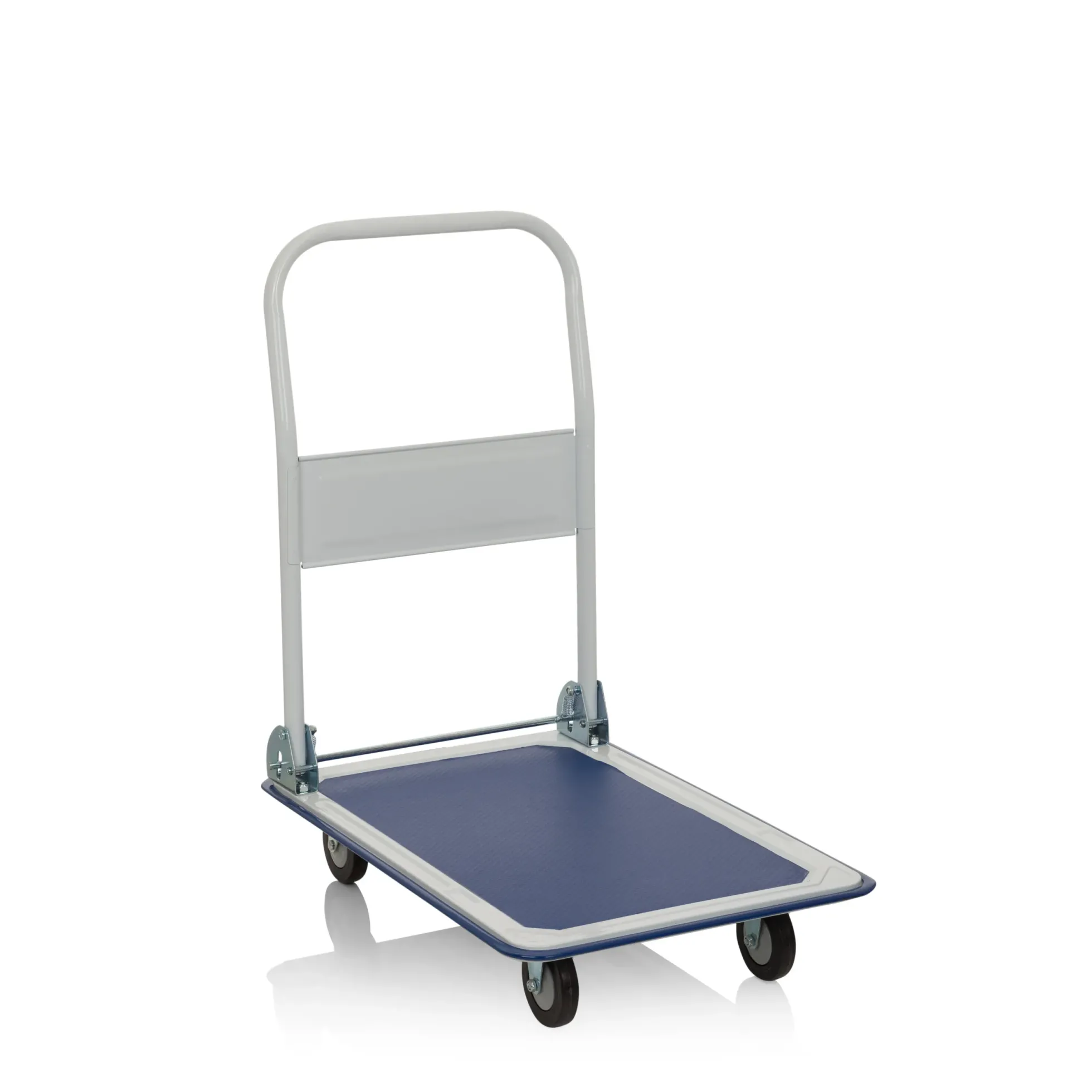 CARRY - Plattformwagen Blau/Weiß