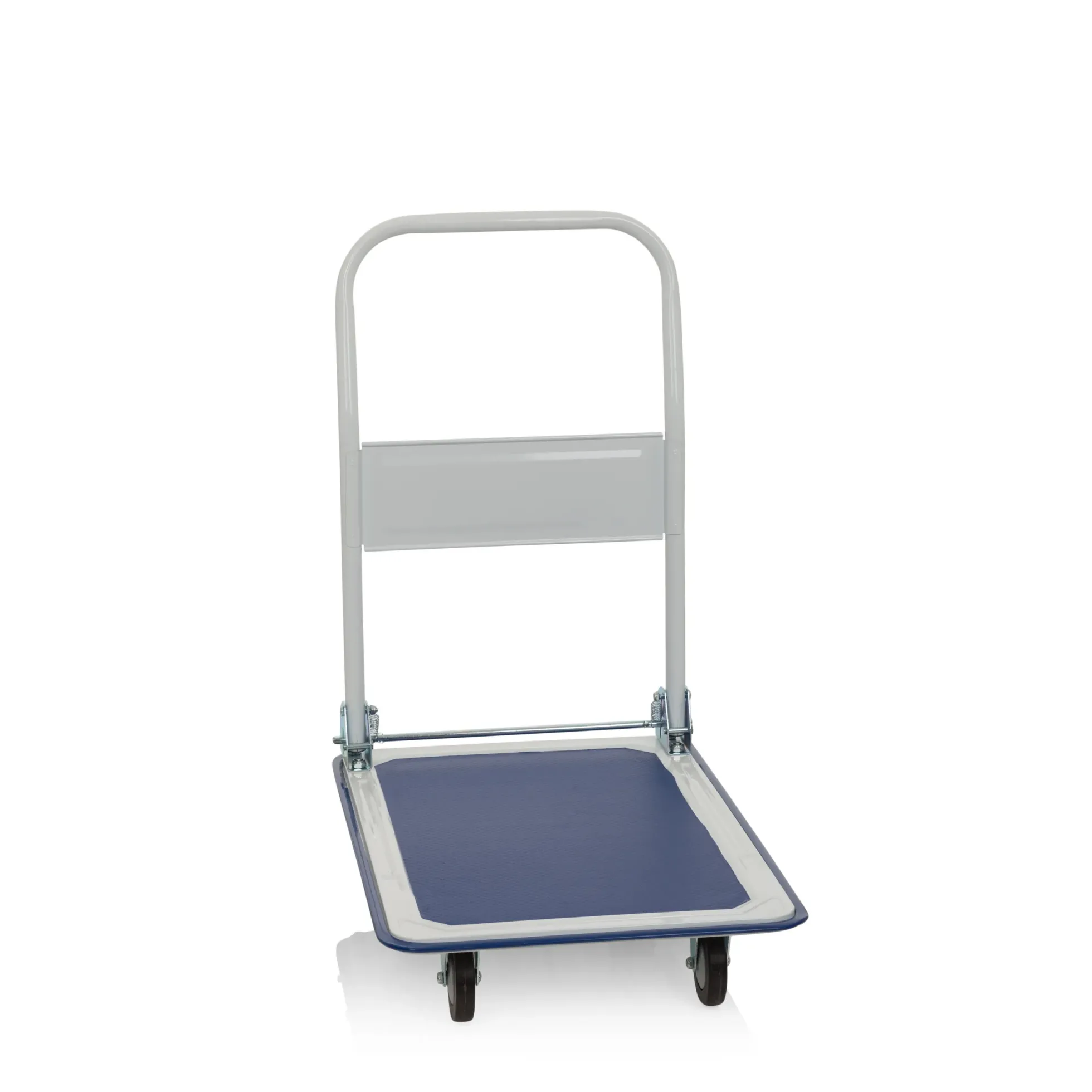 CARRY - Plattformwagen Blau/Weiß
