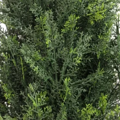 CEDRUS - Kunstpflanze Grün