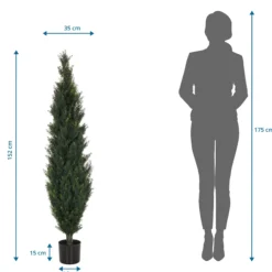 CEDRUS - Kunstpflanze Grün