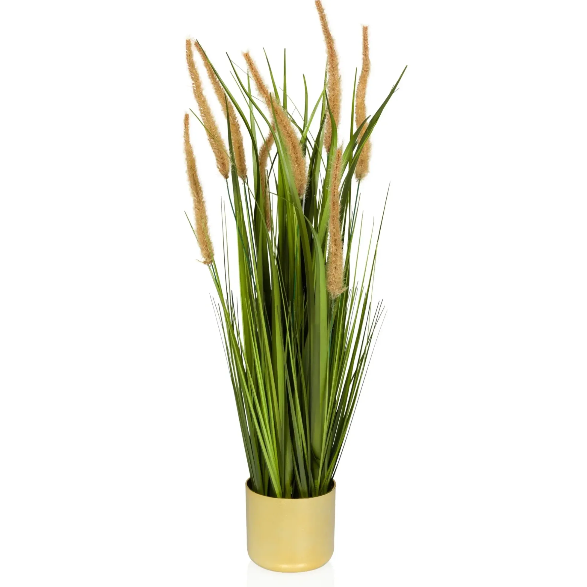 CORTADERIA I - Kunstpflanze Beige/Grün