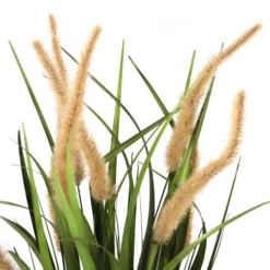 CORTADERIA I - Kunstpflanze Beige/Grün