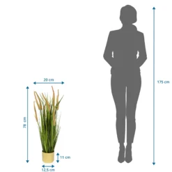 CORTADERIA I - Kunstpflanze Beige/Grün
