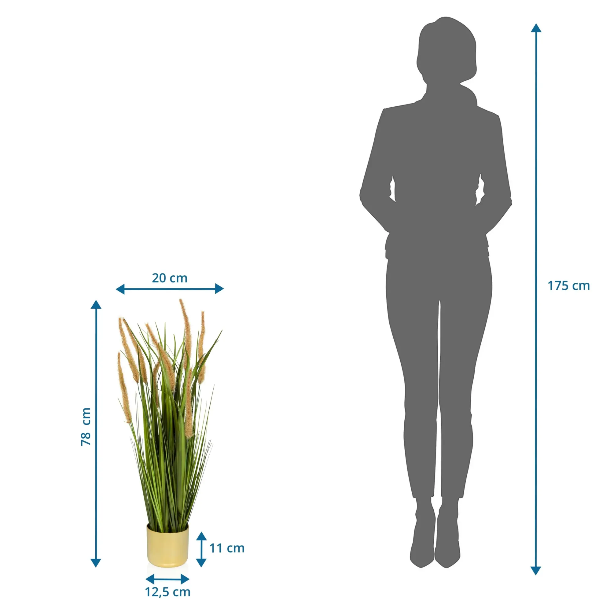 CORTADERIA I - Kunstpflanze Beige/Grün