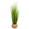CORTADERIA - Kunstpflanze Grün