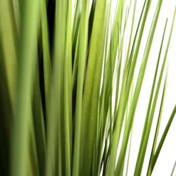 CORTADERIA - Kunstpflanze Grün