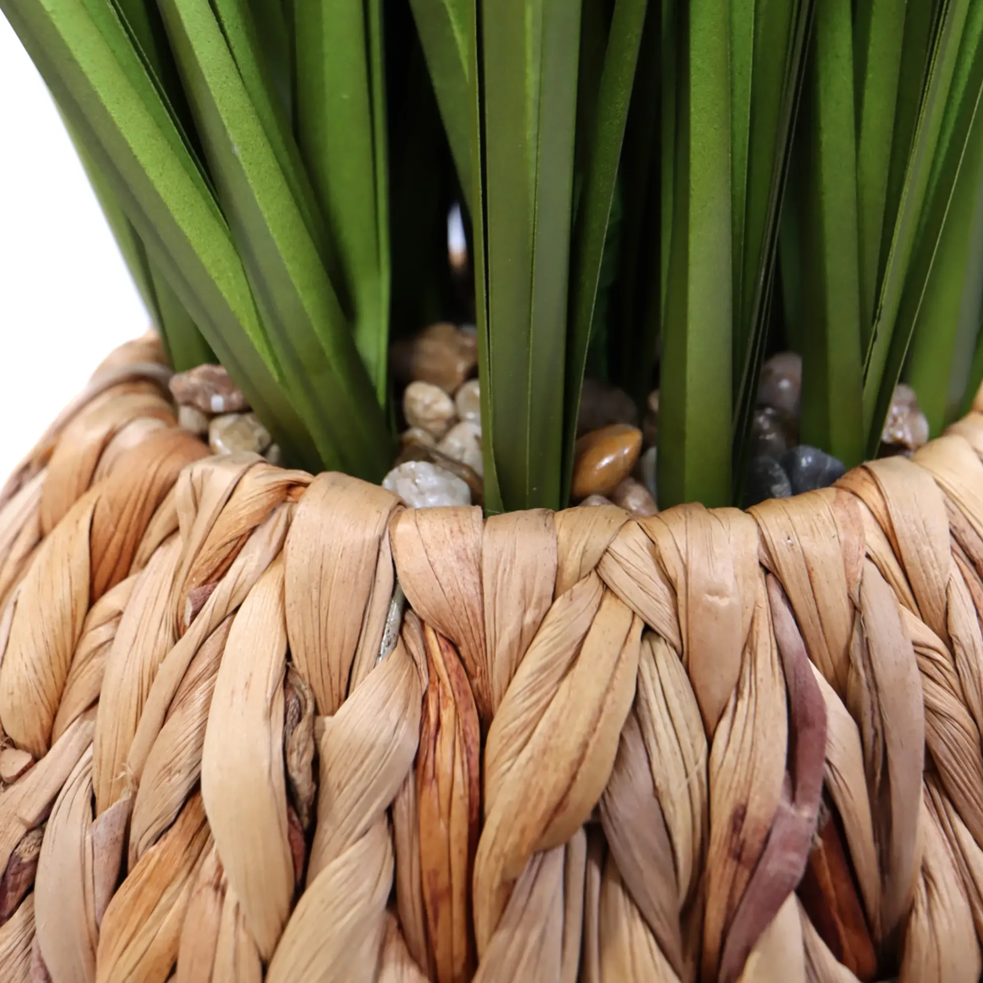 CORTADERIA - Kunstpflanze Grün