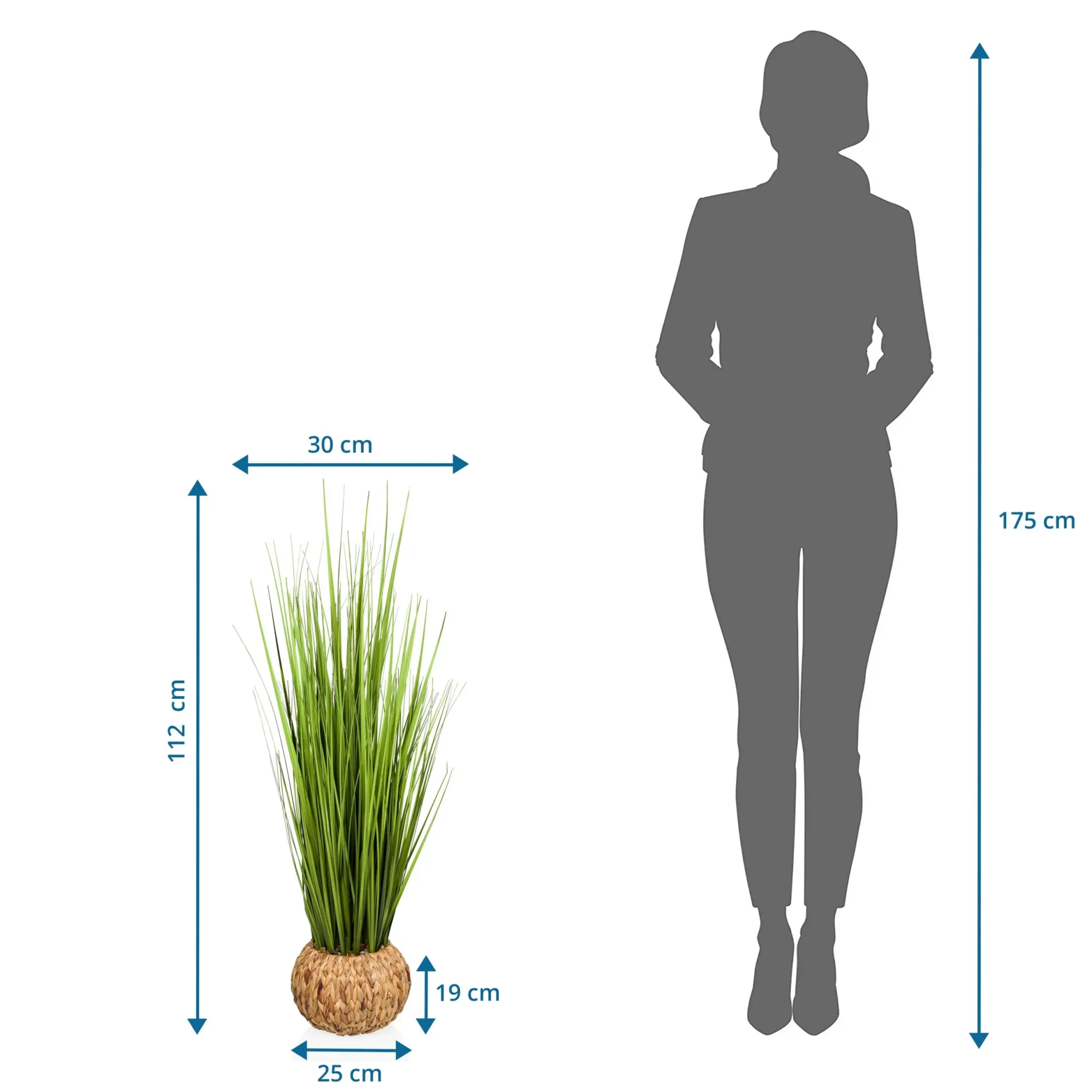 CORTADERIA - Kunstpflanze Grün