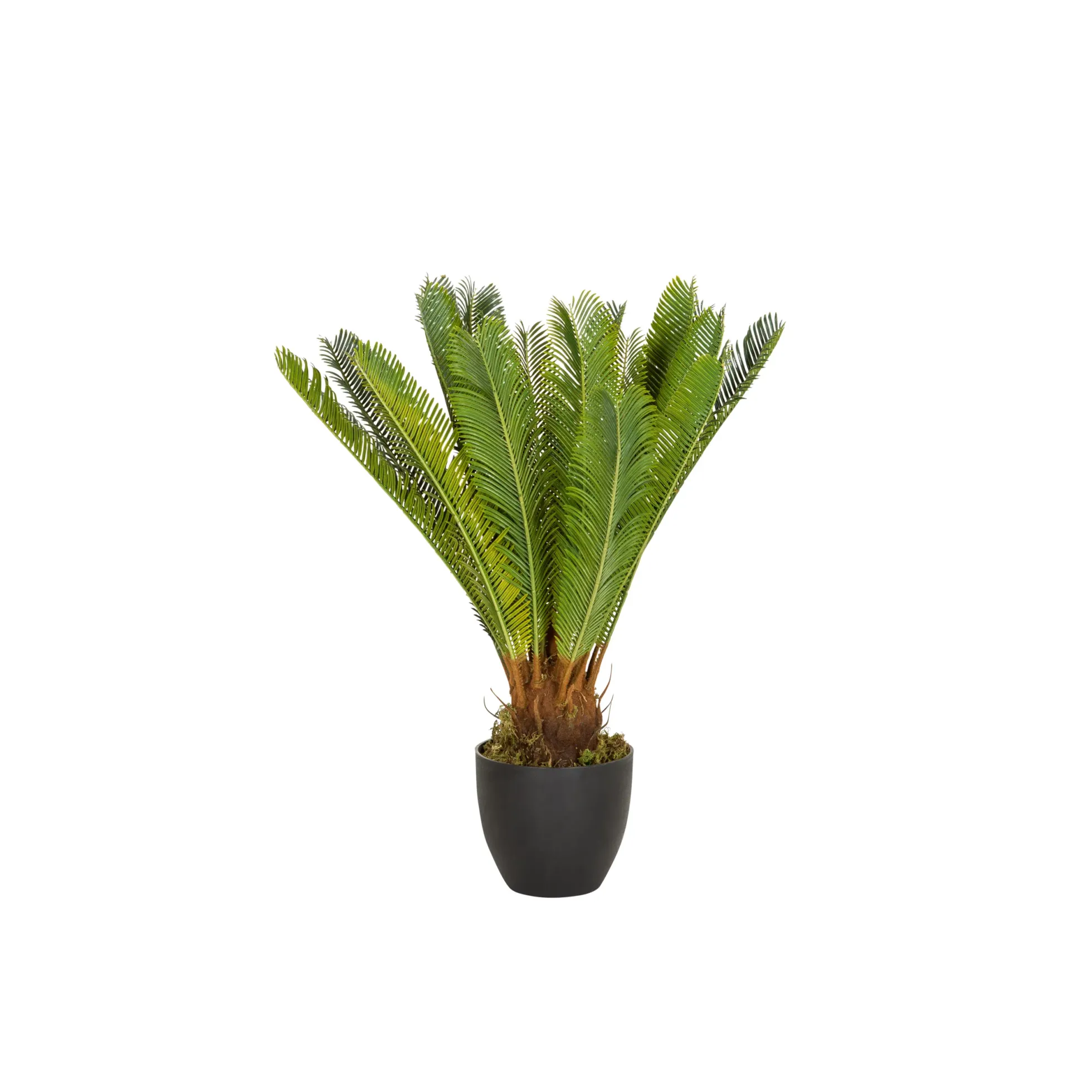 CYCAS - Kunstpflanze Grün