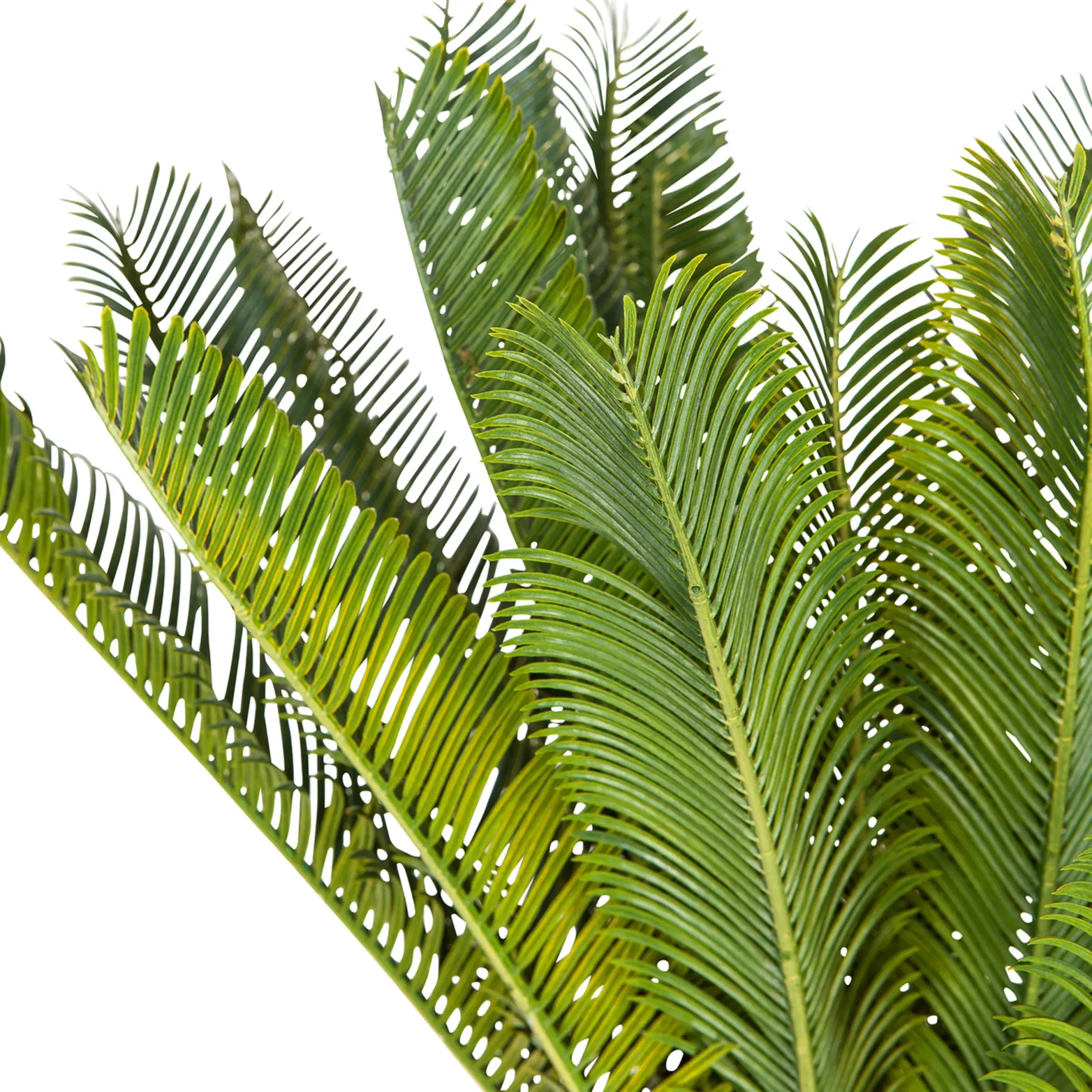 CYCAS - Kunstpflanze Grün