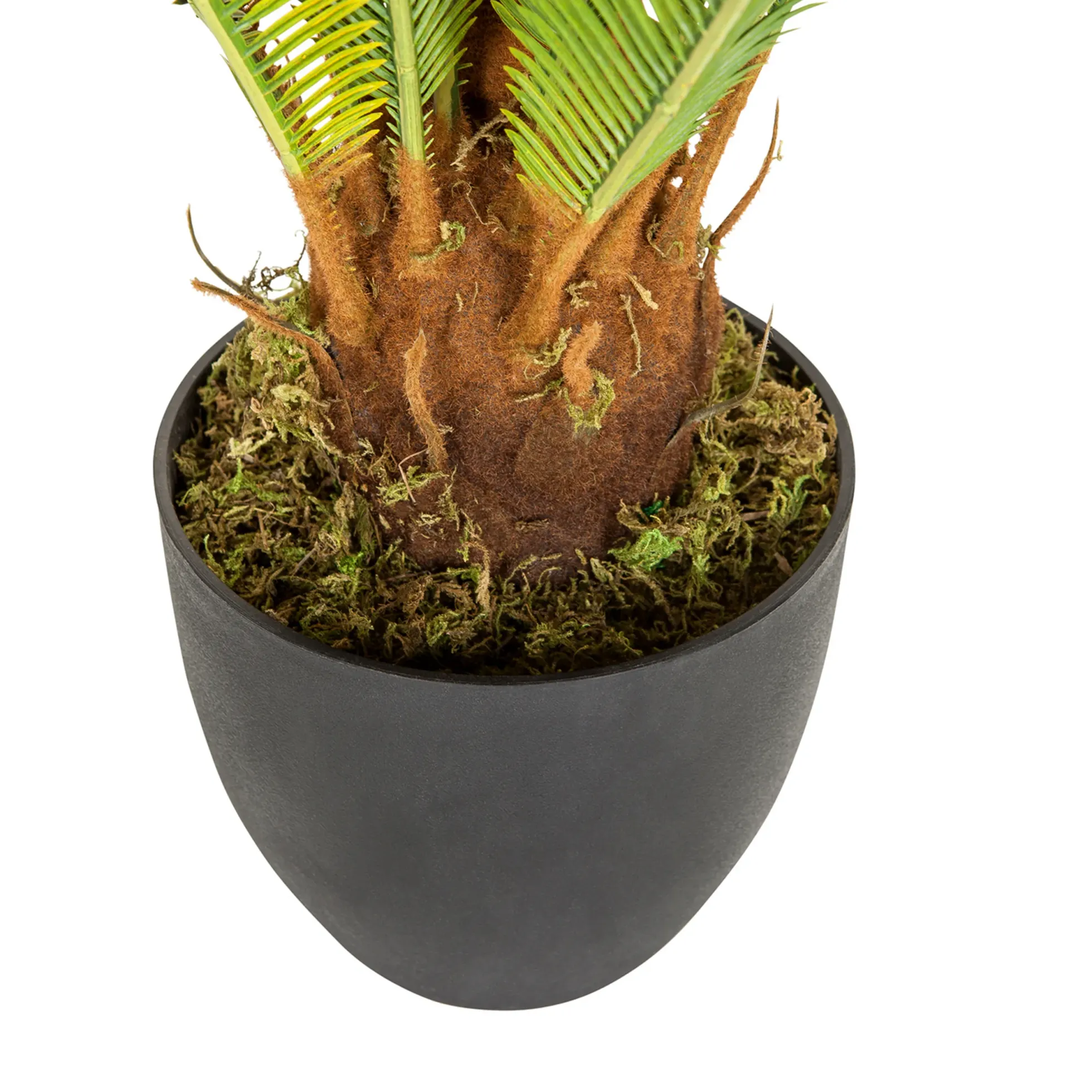 CYCAS - Kunstpflanze Grün