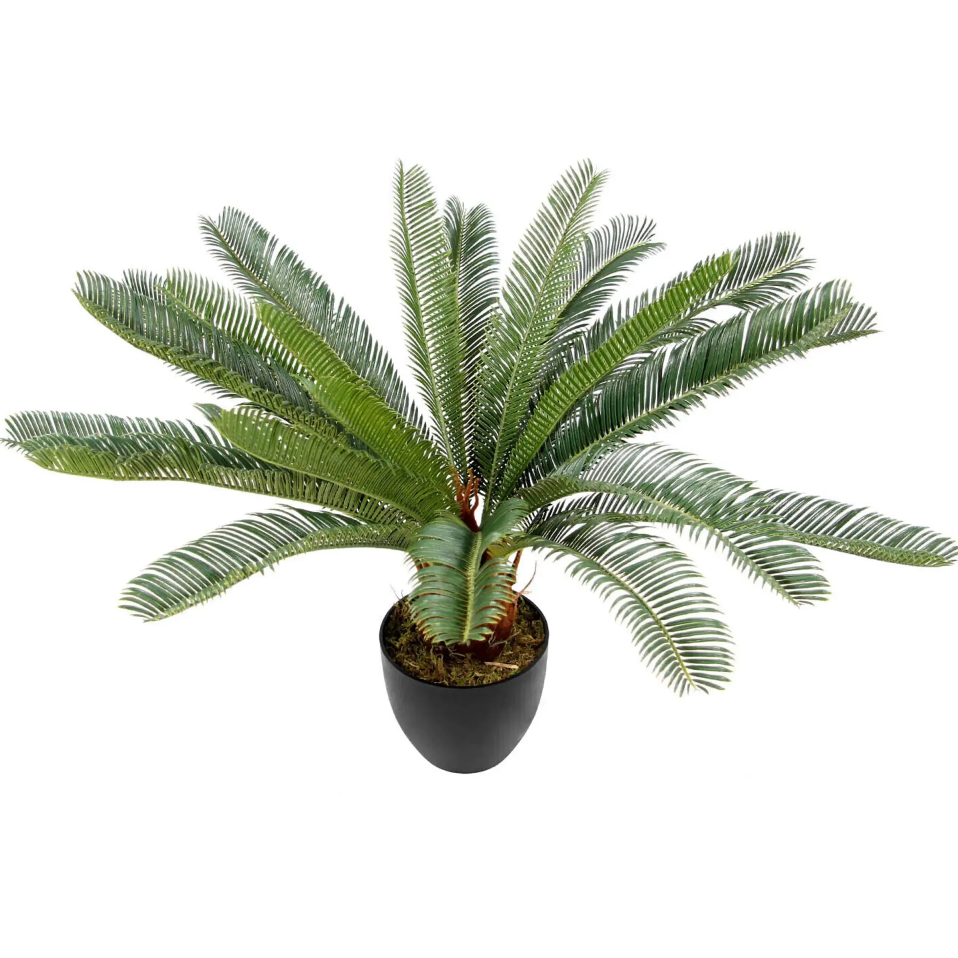 CYCAS - Kunstpflanze Grün