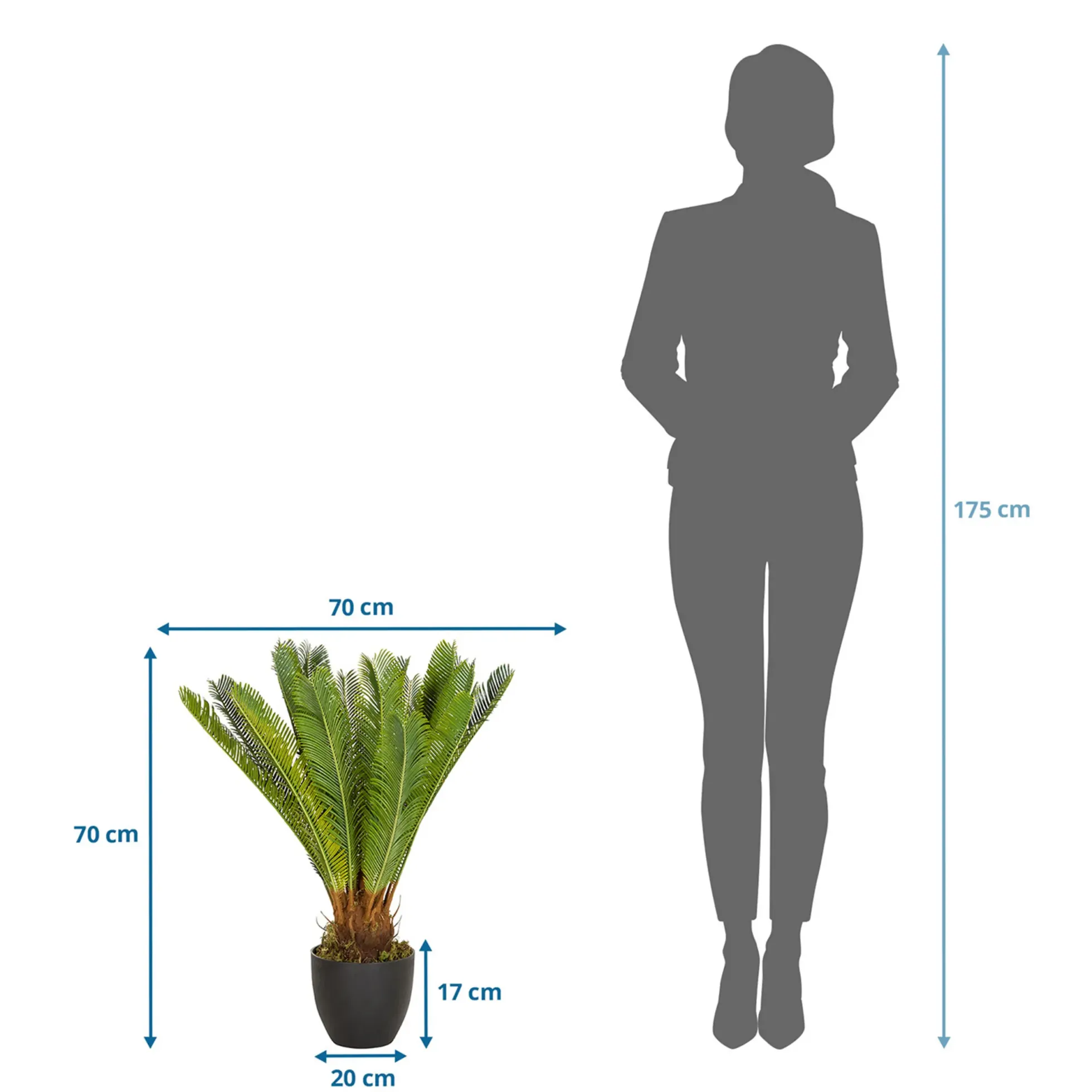 CYCAS - Kunstpflanze Grün