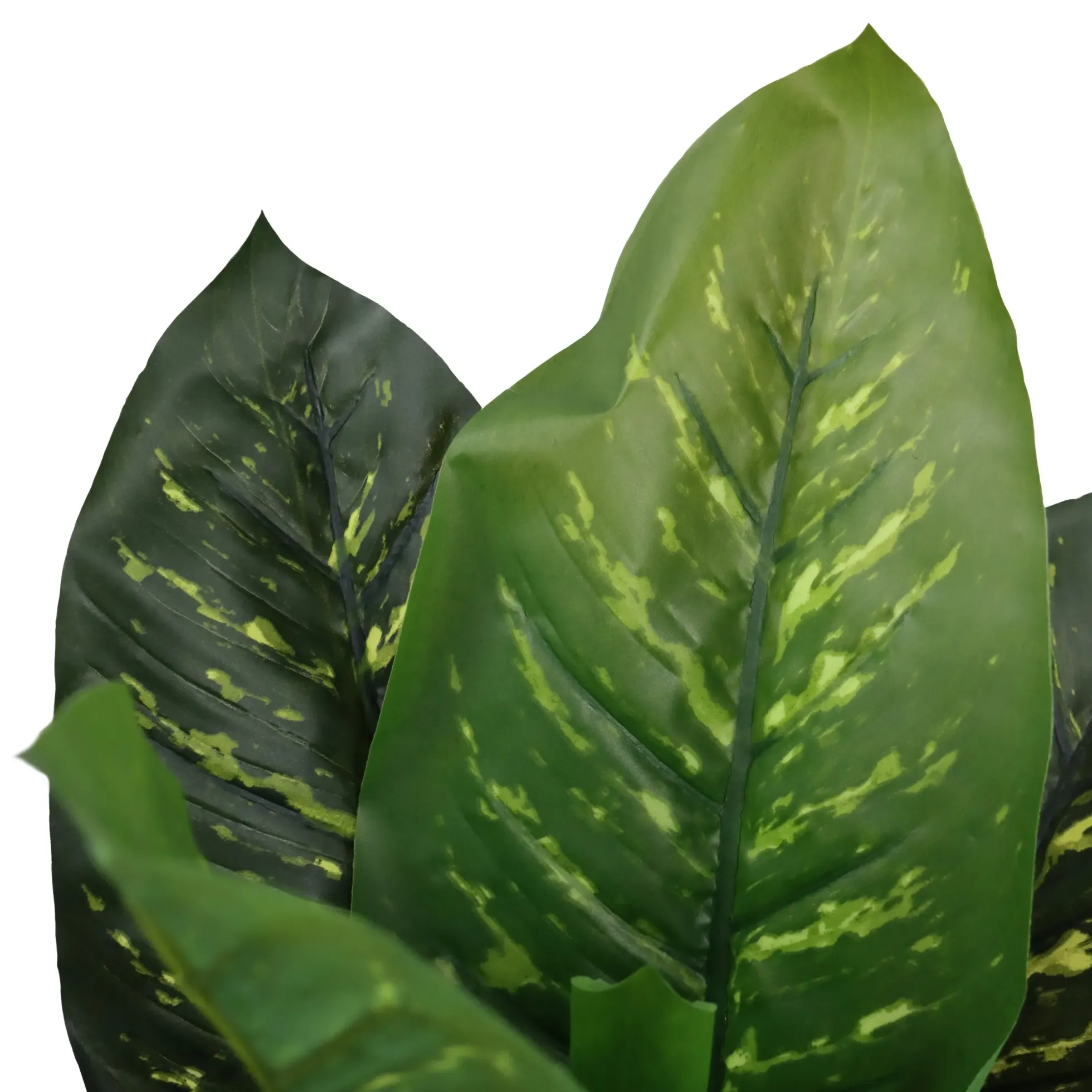 DIEFFENBACHIA - Kunstpflanze Grün