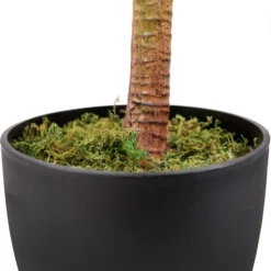 DRACAENA I - Kunstpflanze Grün