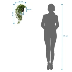 Epipremnum Climb - Kunstpflanze Grün
