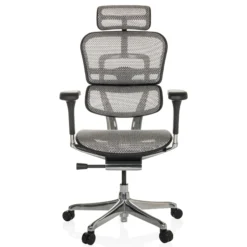 ERGOHUMAN GEN2 | Netz - Luxus Chefsessel Hellgrau