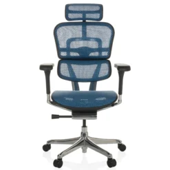 ERGOHUMAN GEN2 | Netz - Luxus Chefsessel Blau