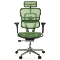 ERGOHUMAN GEN2 | Netz - Luxus Chefsessel Grün
