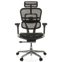 ERGOHUMAN GEN2 | Netz - Luxus Chefsessel Schwarz
