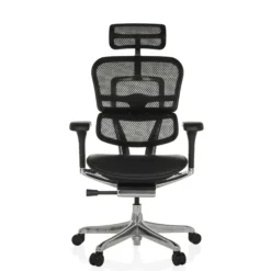 ERGOHUMAN GEN2 | Netzstoff / Leder - Luxus Chefsessel Schwarz