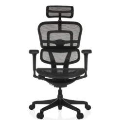 ERGOHUMAN SIGNATURE GEN2 | Netz - Luxus Chefsessel Schwarz