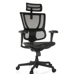 ERGOHUMAN SLIM ECO M GEN2 | Netz - Luxus Chefsessel Schwarz