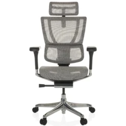 ERGOHUMAN SLIM GEN2 | Netz - Luxus Chefsessel Hellgrau