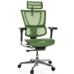 ERGOHUMAN SLIM GEN2 | Netz - Luxus Chefsessel Grün