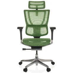 ERGOHUMAN SLIM GEN2 | Netz - Luxus Chefsessel Grün