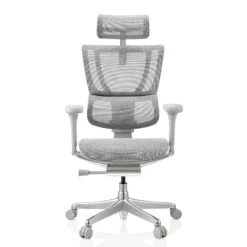 ERGOHUMAN SLIM G GEN2 | Netz - Luxus Chefsessel Hellgrau