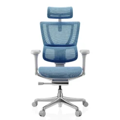 ERGOHUMAN SLIM G GEN2 | Netz - Luxus Chefsessel Blau