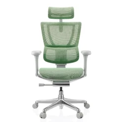 ERGOHUMAN SLIM G GEN2 | Netz - Luxus Chefsessel Grün