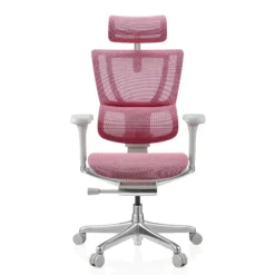 ERGOHUMAN SLIM G GEN2 | Netz - Luxus Chefsessel Rosa