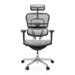ERGOHUMAN ULTRA GEN2 | Netz - Luxus Chefsessel Grau