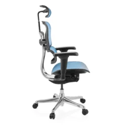 ERGOHUMAN ULTRA GEN2 | Netz - Luxus Chefsessel Blau