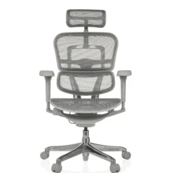 ERGOHUMAN ULTRA G GEN2 | Netz - Luxus Chefsessel Grau