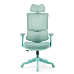 Ergomy Colore | Stoff / 3D Netz | Rahmen: Bunt - Home Office Bürostuhl Türkis