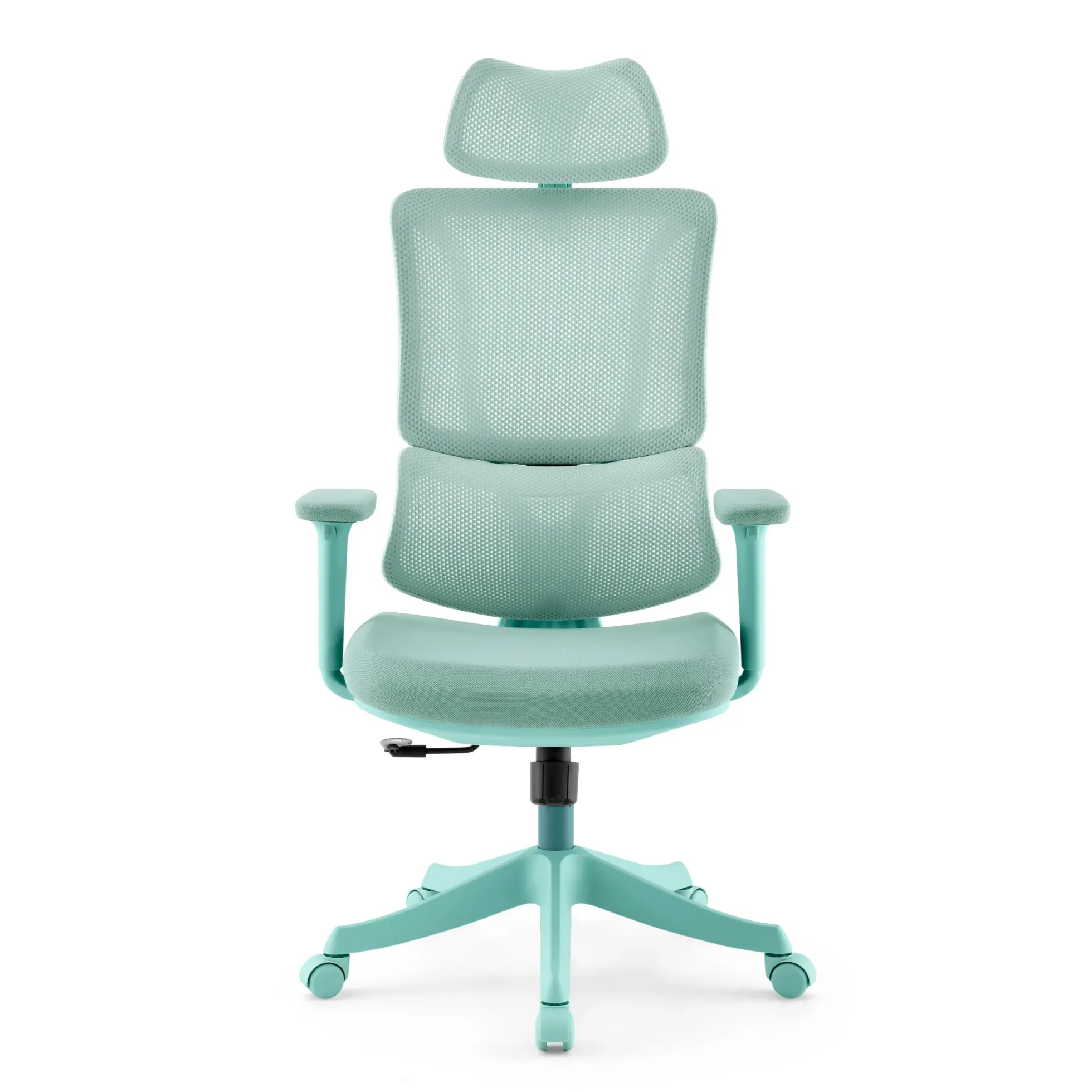 Ergomy Colore | Stoff / 3D Netz | Rahmen: Bunt - Home Office Bürostuhl Türkis