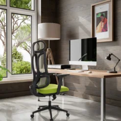 ERGOMY | Stoff / Netz | Rahmen: Schwarz - Home Office Bürostuhl Grün