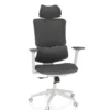 ERGOMY WF | Stoff | Rahmen: Weiß - Home Office Bürostuhl Grau